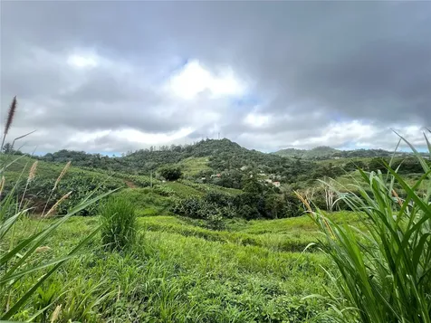 Km 0.2 Int Bo. Helechal Pr 152 Barranquitas PR 00794