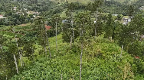 Km 0.2 Int Bo. Helechal Pr 152 Barranquitas PR 00794