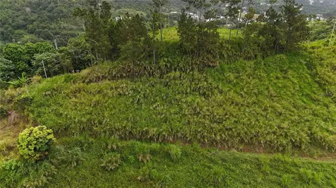 Km 0.2 Int Bo. Helechal Pr 152 Barranquitas PR 00794
