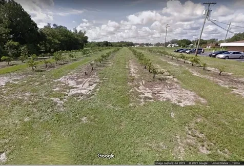 310 Medical Center Avenue Sebring FL 33870