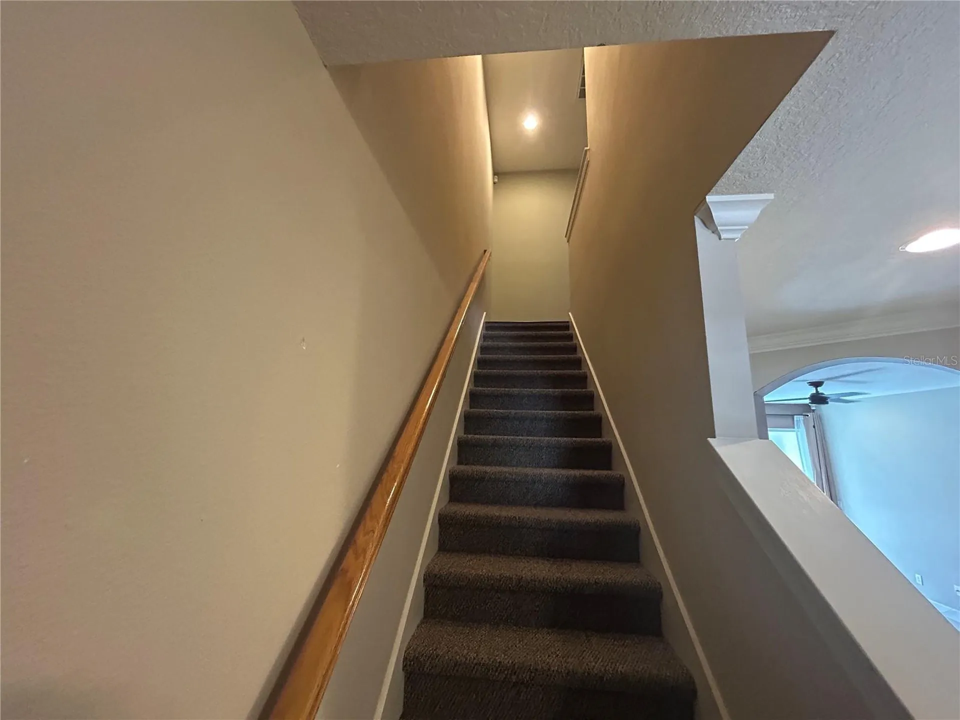 403 E Tuscan Lane E Oldsmar FL 34677