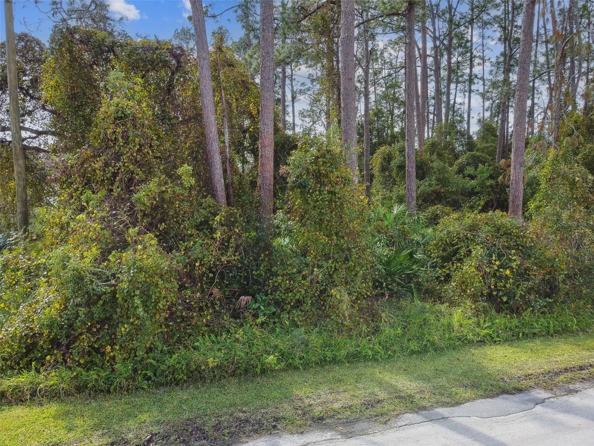 2417 E Lake Drive Deland FL 32724