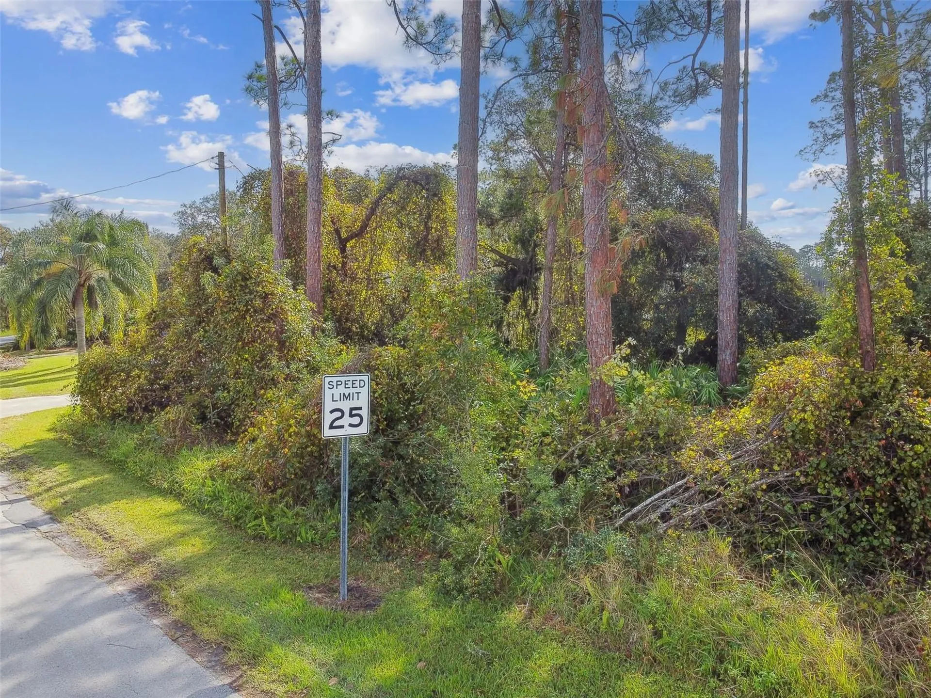 2417 E Lake Drive Deland FL 32724