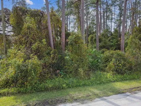 2417 E Lake Drive Deland FL 32724