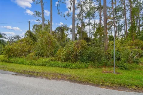 2417 E Lake Drive Deland FL 32724
