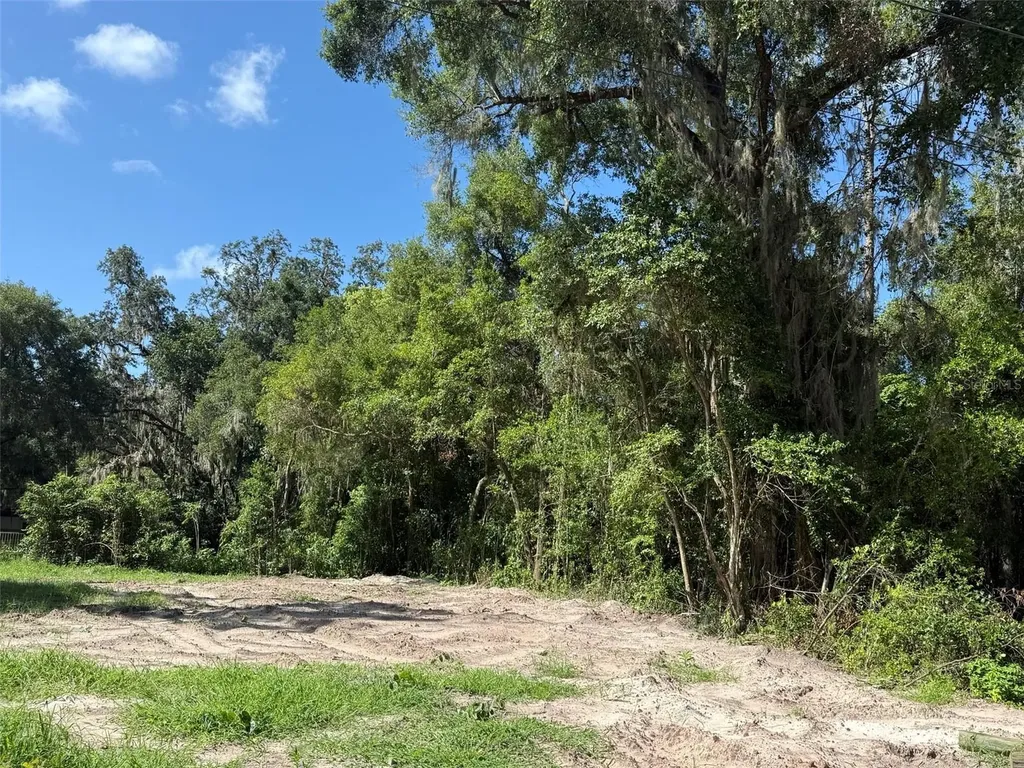 115 Roddy Lane Palatka FL 32177