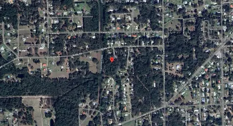 115 Roddy Lane Palatka FL 32177