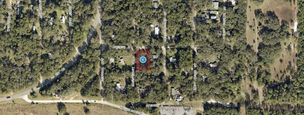 25040 E Avenue B Paisley FL 32767