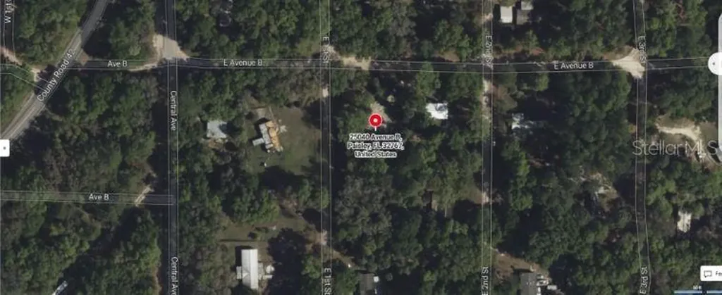 25040 E Avenue B Paisley FL 32767