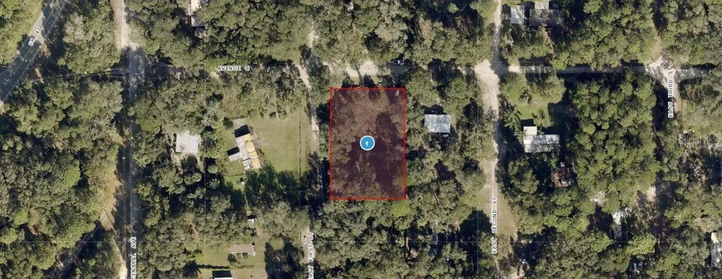 25040 E Avenue B Paisley FL 32767