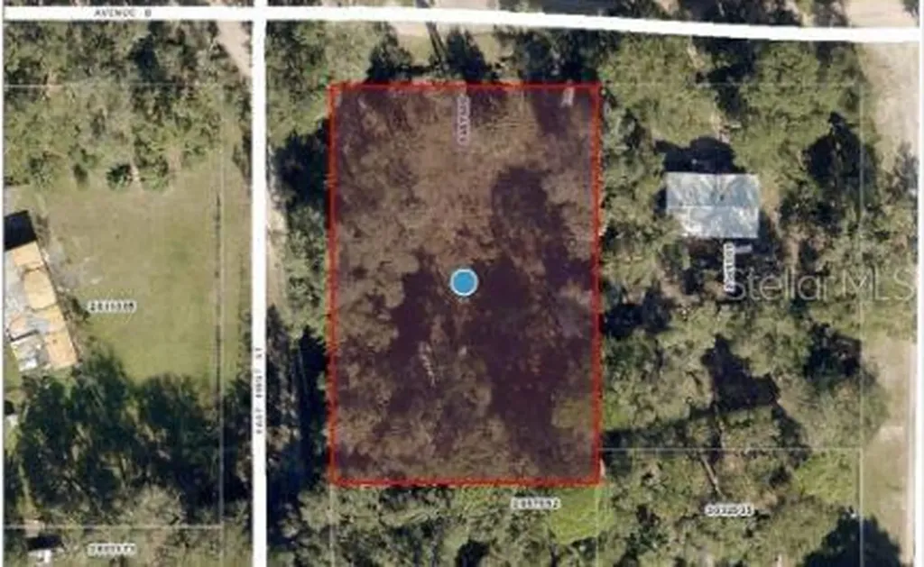25040 E Avenue B Paisley FL 32767