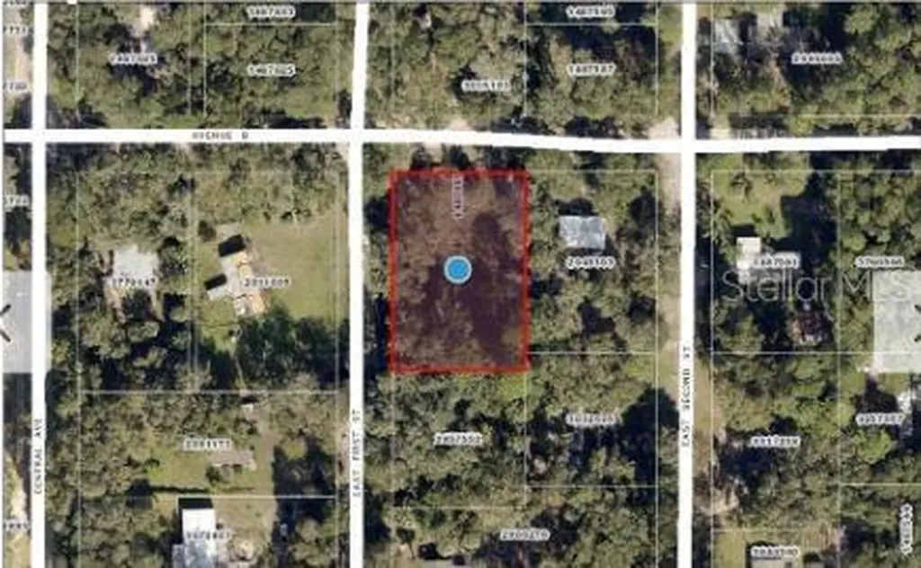 25040 E Avenue B Paisley FL 32767