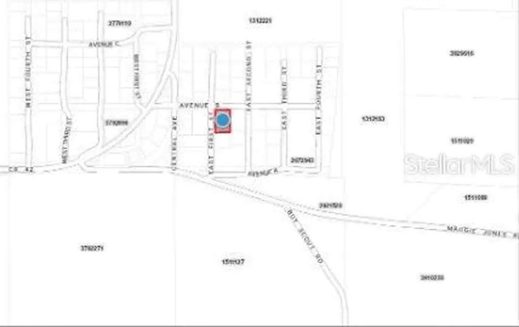 25040 E Avenue B Paisley FL 32767