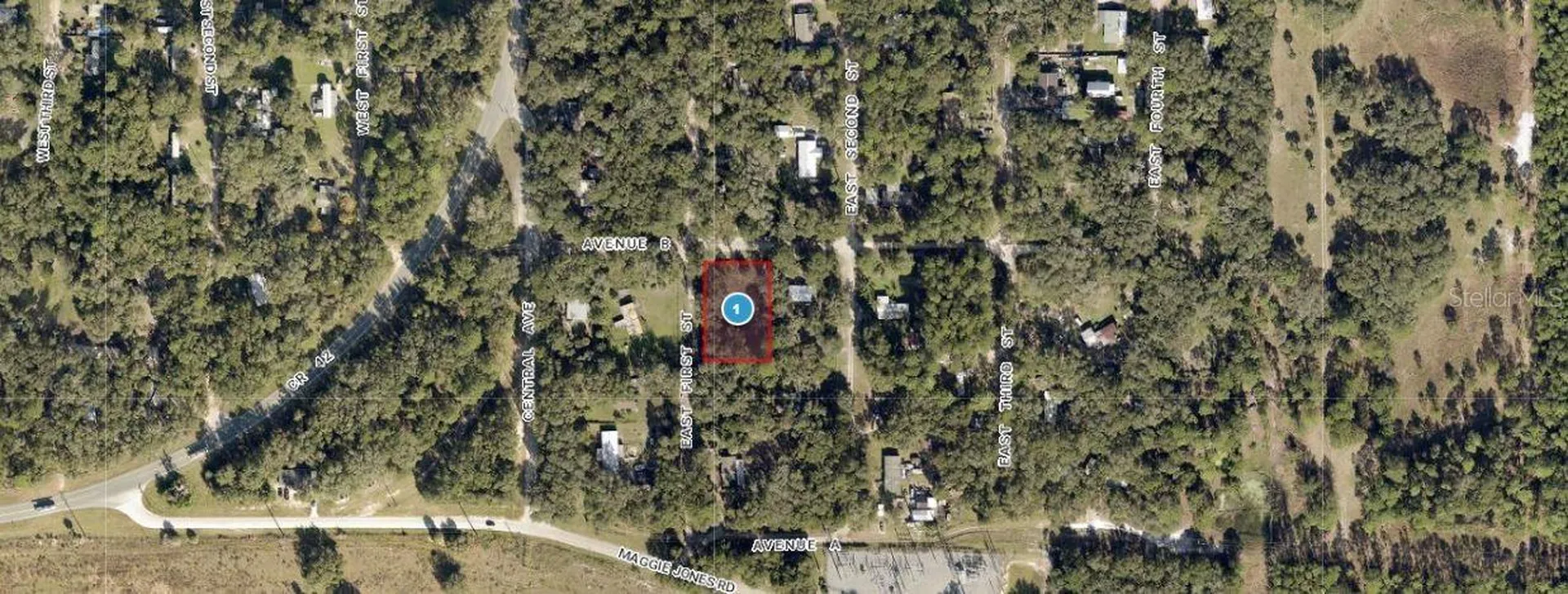 25040 E Avenue B Paisley FL 32767