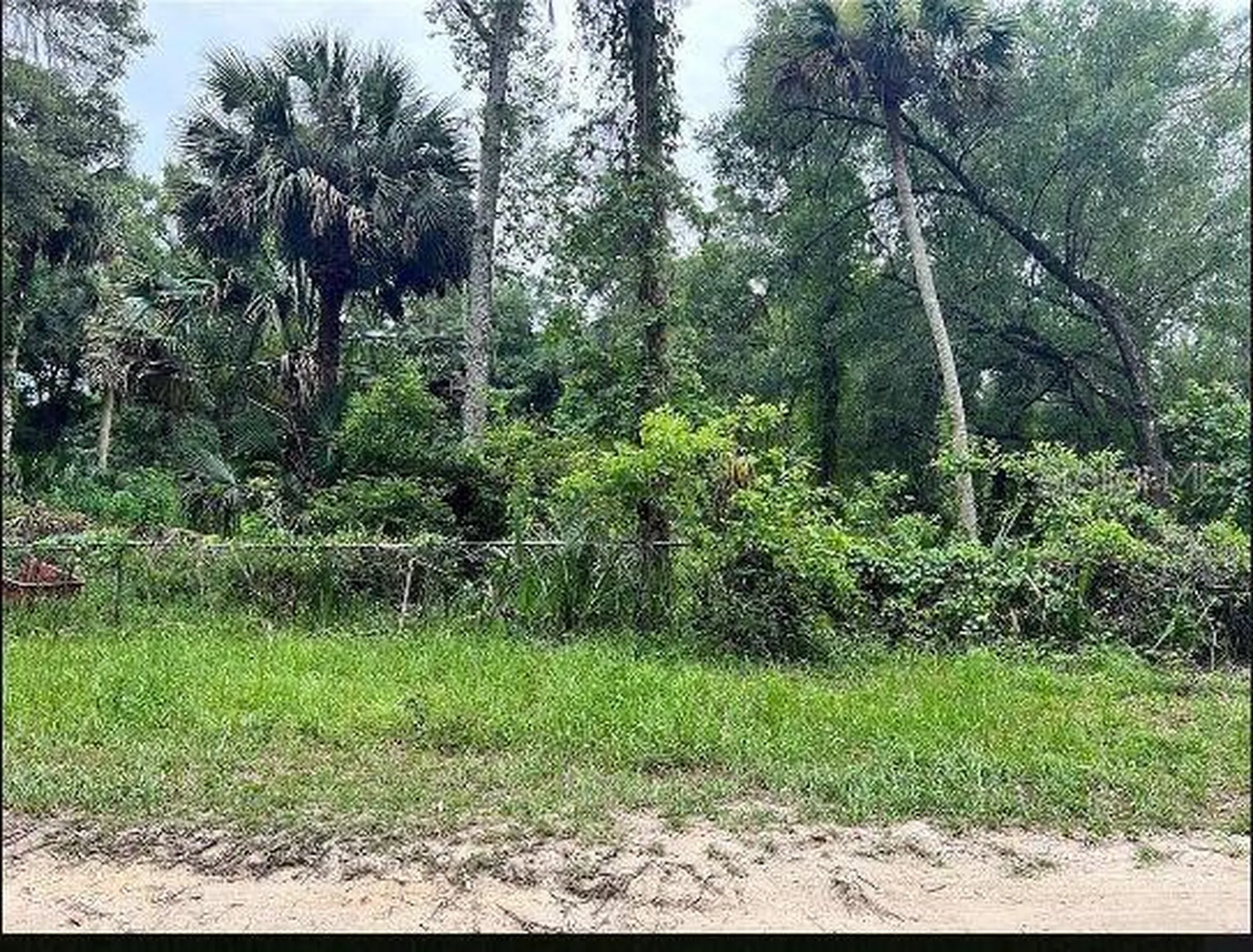 25040 E Avenue B Paisley FL 32767