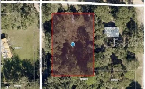 25040 E Avenue B Paisley FL 32767