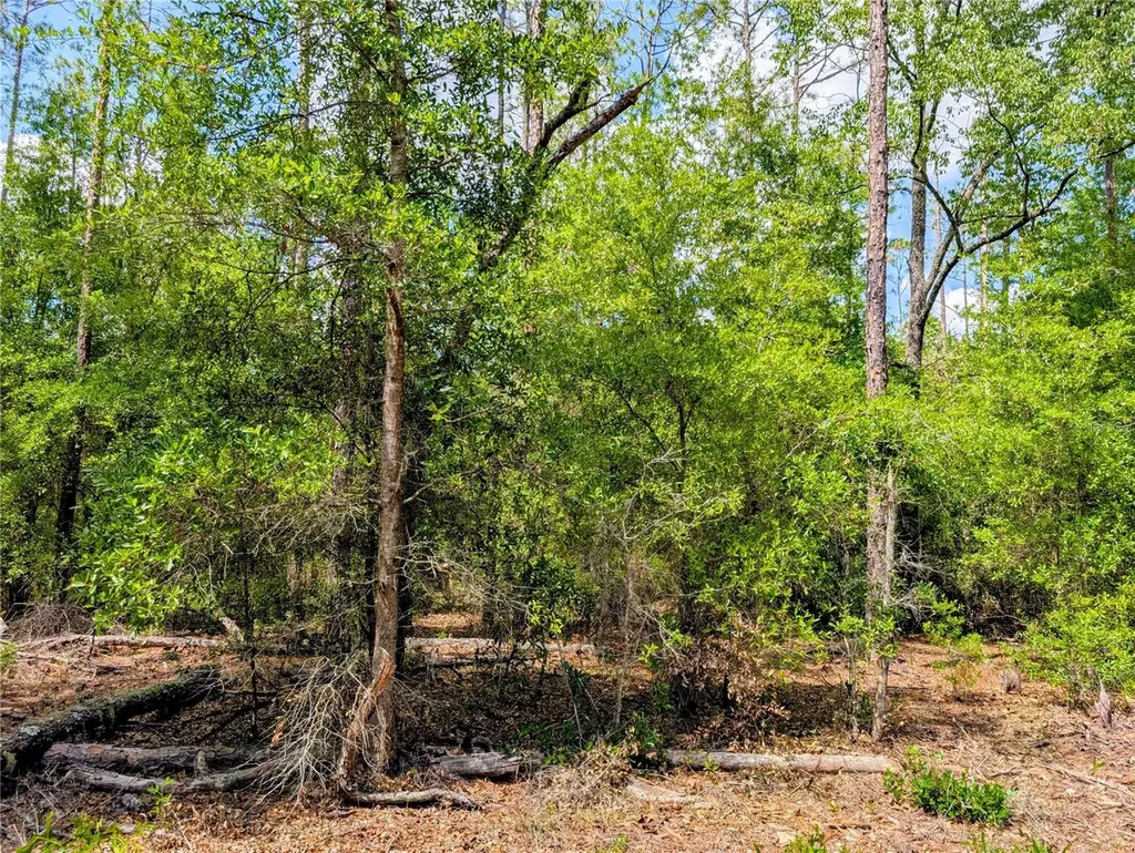 Tbd SW 93rd Lane Dunnellon FL 34431