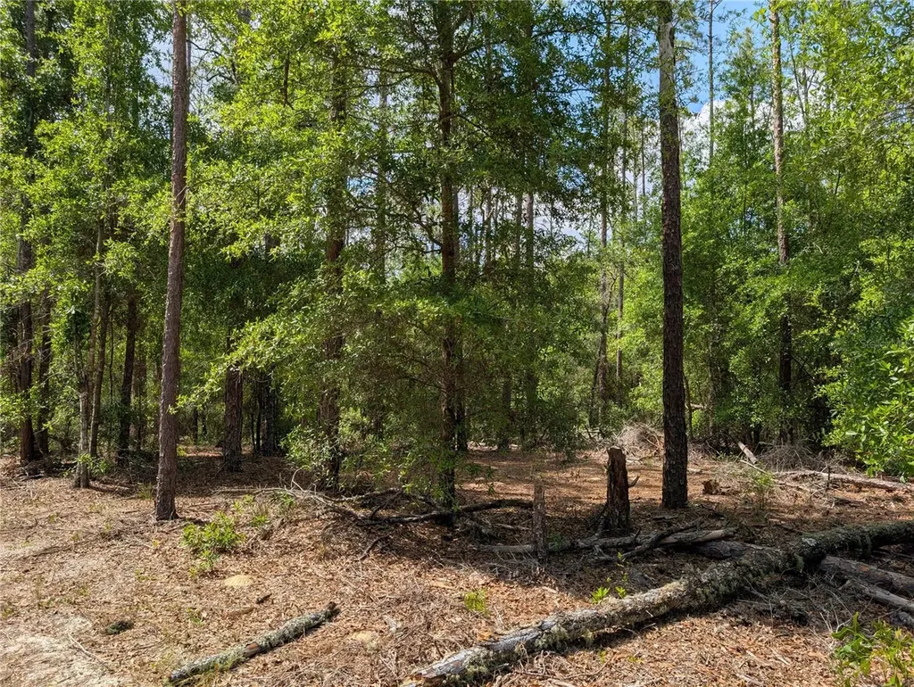 Tbd SW 93rd Lane Dunnellon FL 34431