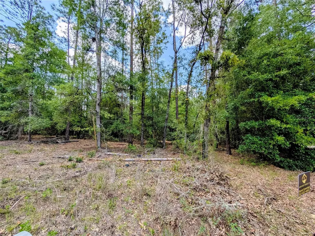 Tbd SW 93rd Lane Dunnellon FL 34431
