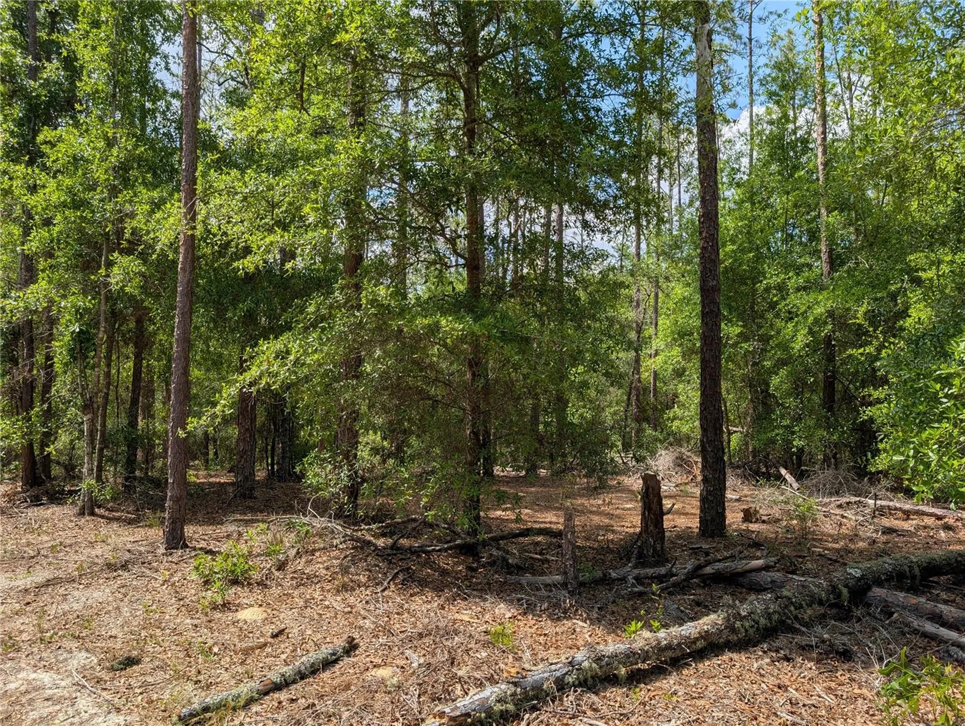 Tbd SW 93rd Lane Dunnellon FL 34431
