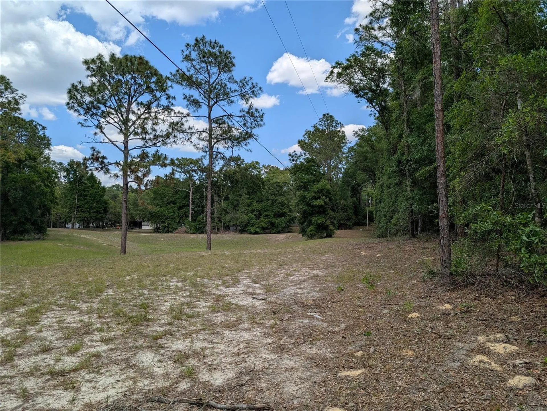 Tbd SW 93rd Lane Dunnellon FL 34431