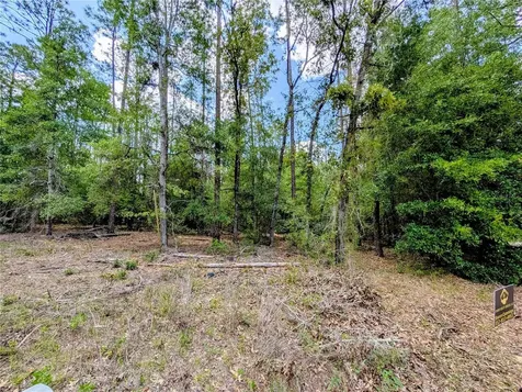 Tbd SW 93rd Lane Dunnellon FL 34431