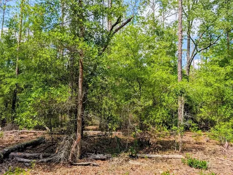 Tbd SW 93rd Lane Dunnellon FL 34431