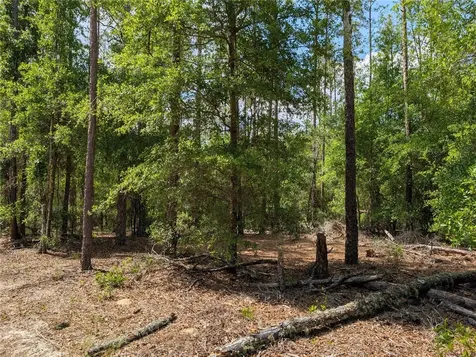 Tbd SW 93rd Lane Dunnellon FL 34431