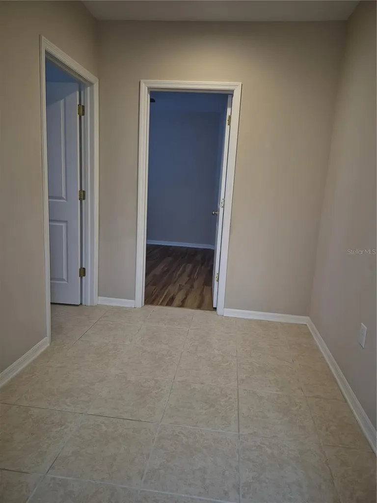30434 Colehaven Court Wesley Chapel FL 33543