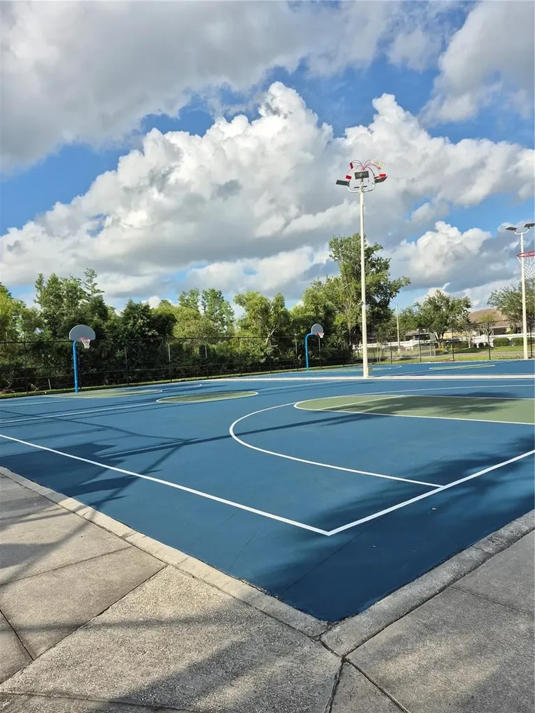 30434 Colehaven Court Wesley Chapel FL 33543