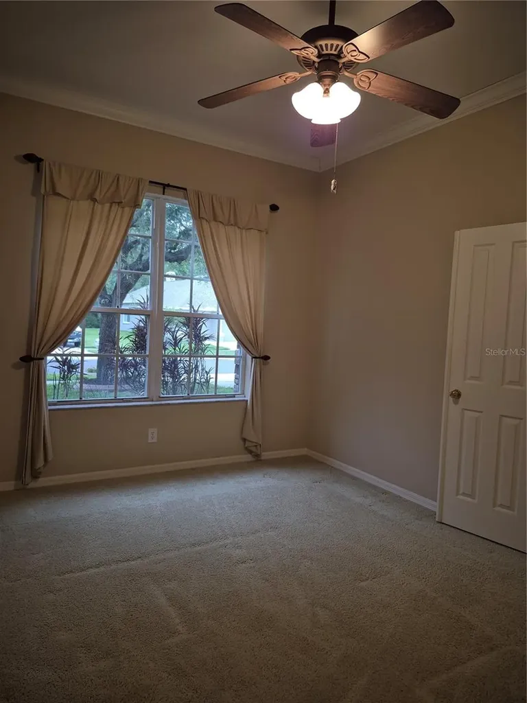 30434 Colehaven Court Wesley Chapel FL 33543