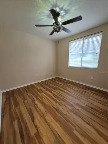 30434 Colehaven Court Wesley Chapel FL 33543