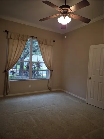 30434 Colehaven Court Wesley Chapel FL 33543