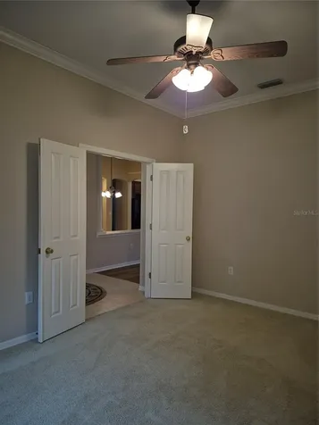 30434 Colehaven Court Wesley Chapel FL 33543