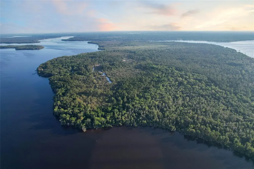 356 Drayton Island Road Georgetown FL 32139
