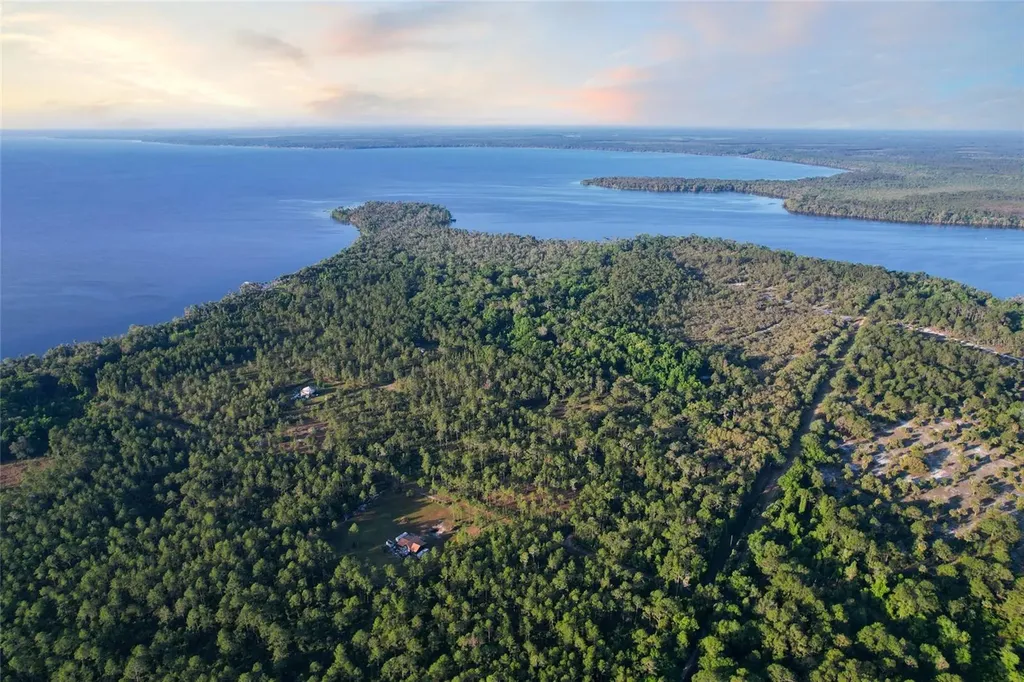 356 Drayton Island Road Georgetown FL 32139
