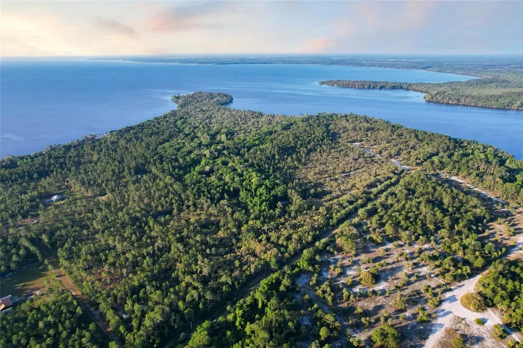 356 Drayton Island Road Georgetown FL 32139