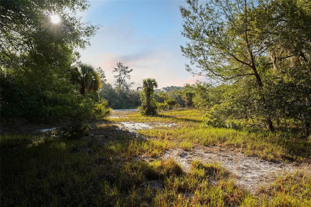 356 Drayton Island Road Georgetown FL 32139