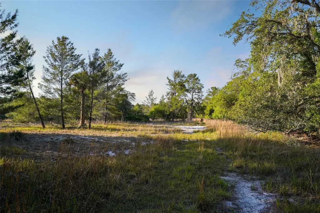 356 Drayton Island Road Georgetown FL 32139