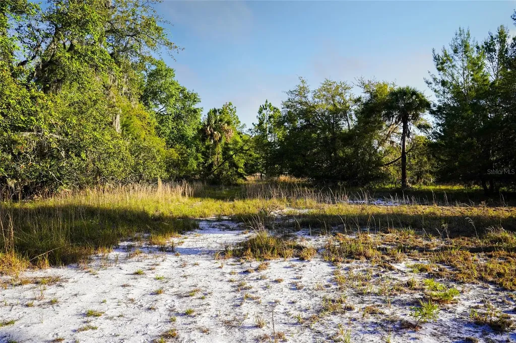 356 Drayton Island Road Georgetown FL 32139