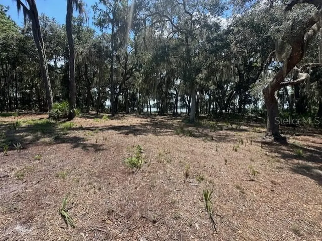 356 Drayton Island Road Georgetown FL 32139