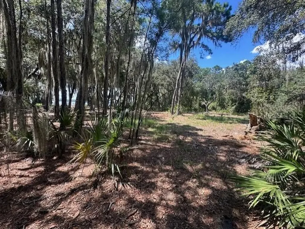 356 Drayton Island Road Georgetown FL 32139
