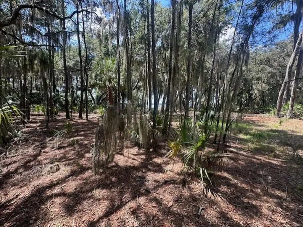 356 Drayton Island Road Georgetown FL 32139