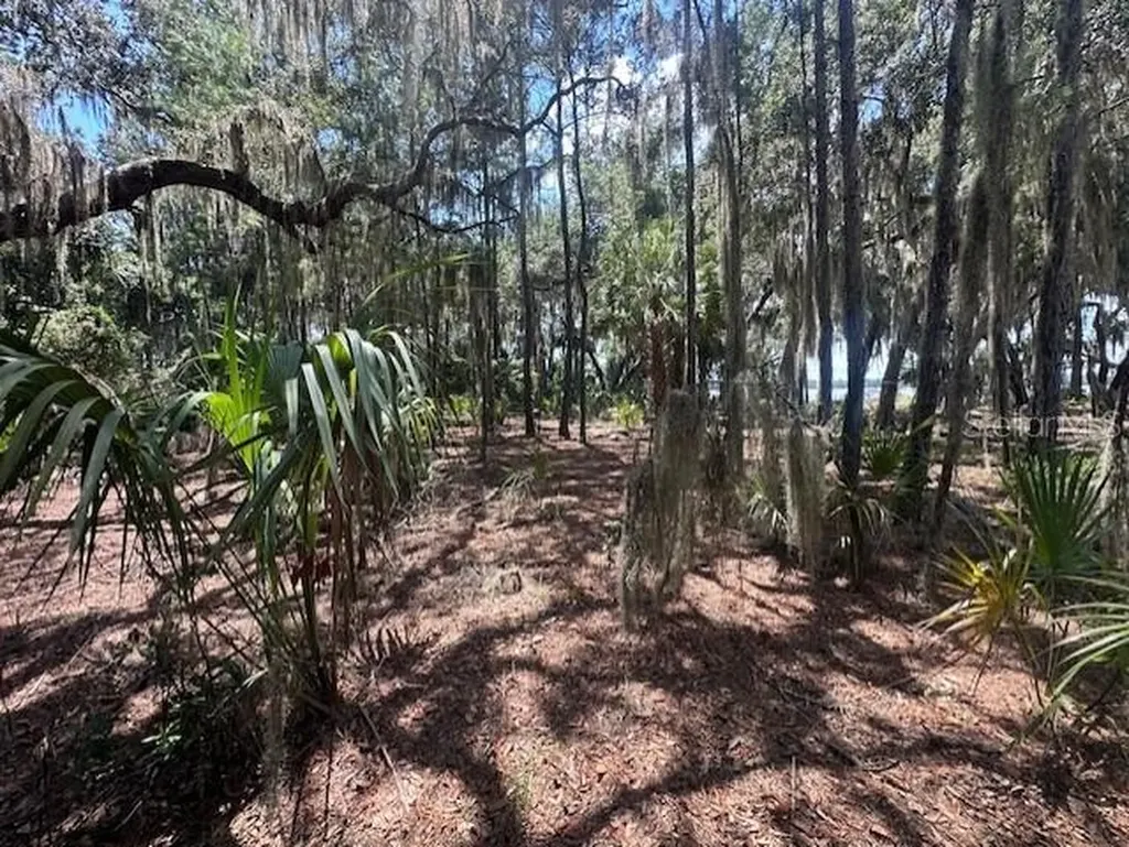 356 Drayton Island Road Georgetown FL 32139