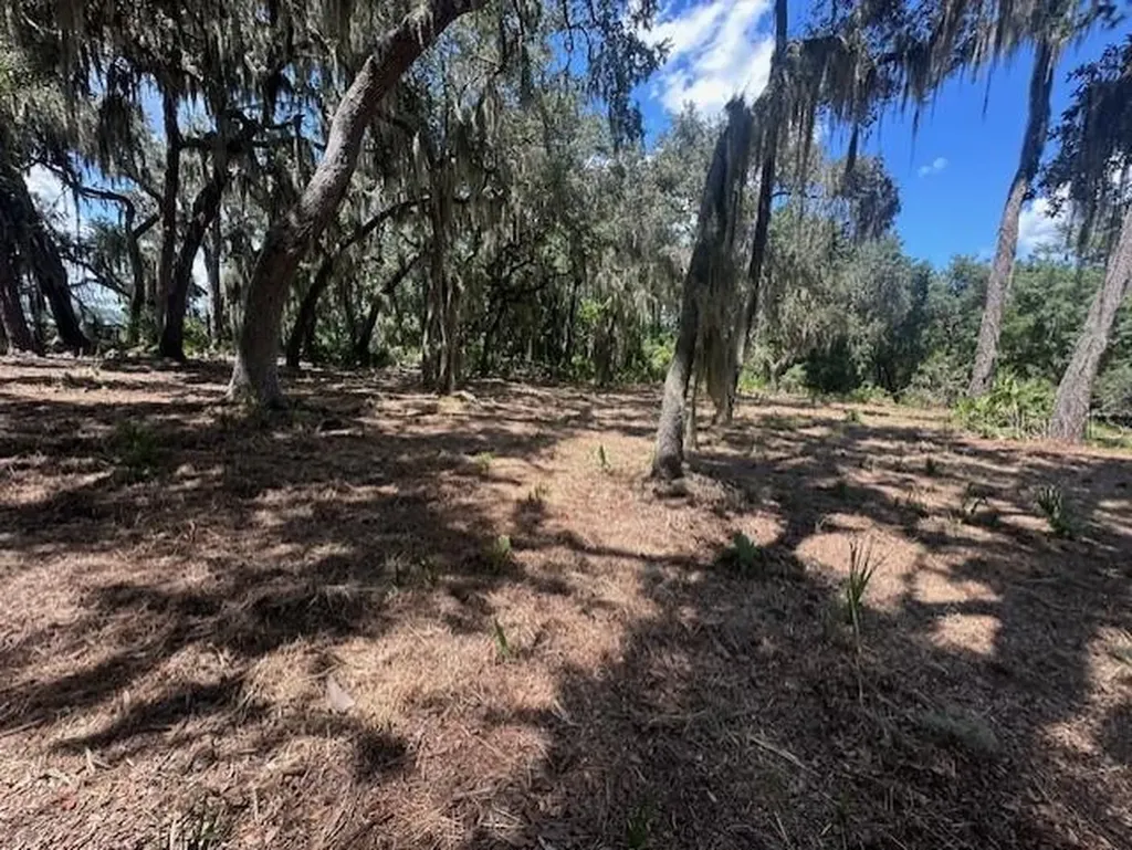356 Drayton Island Road Georgetown FL 32139