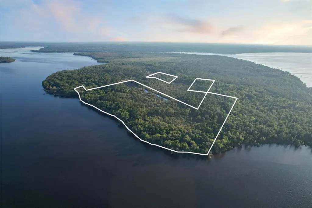 356 Drayton Island Road Georgetown FL 32139