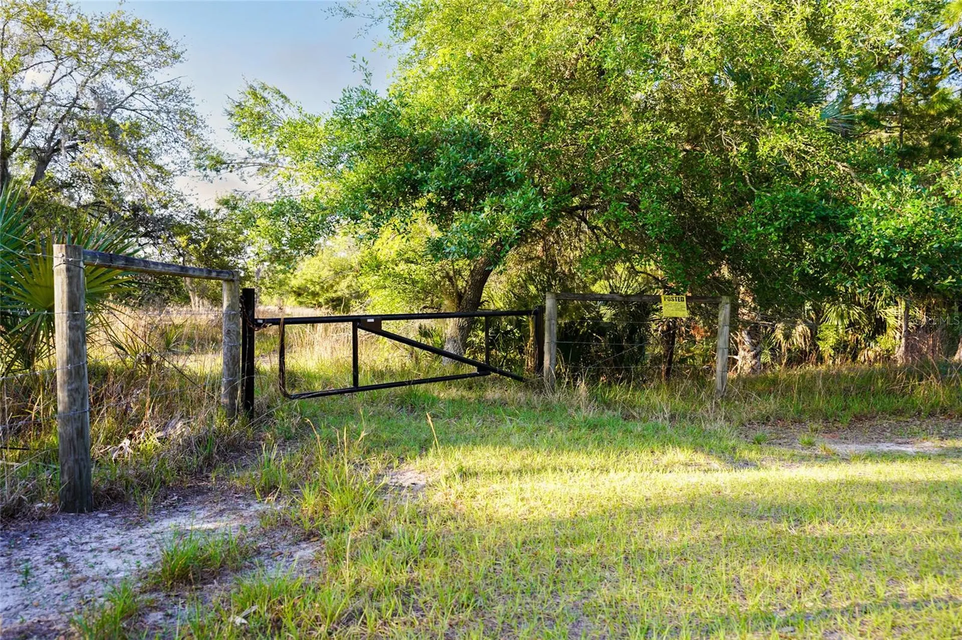 356 Drayton Island Road Georgetown FL 32139