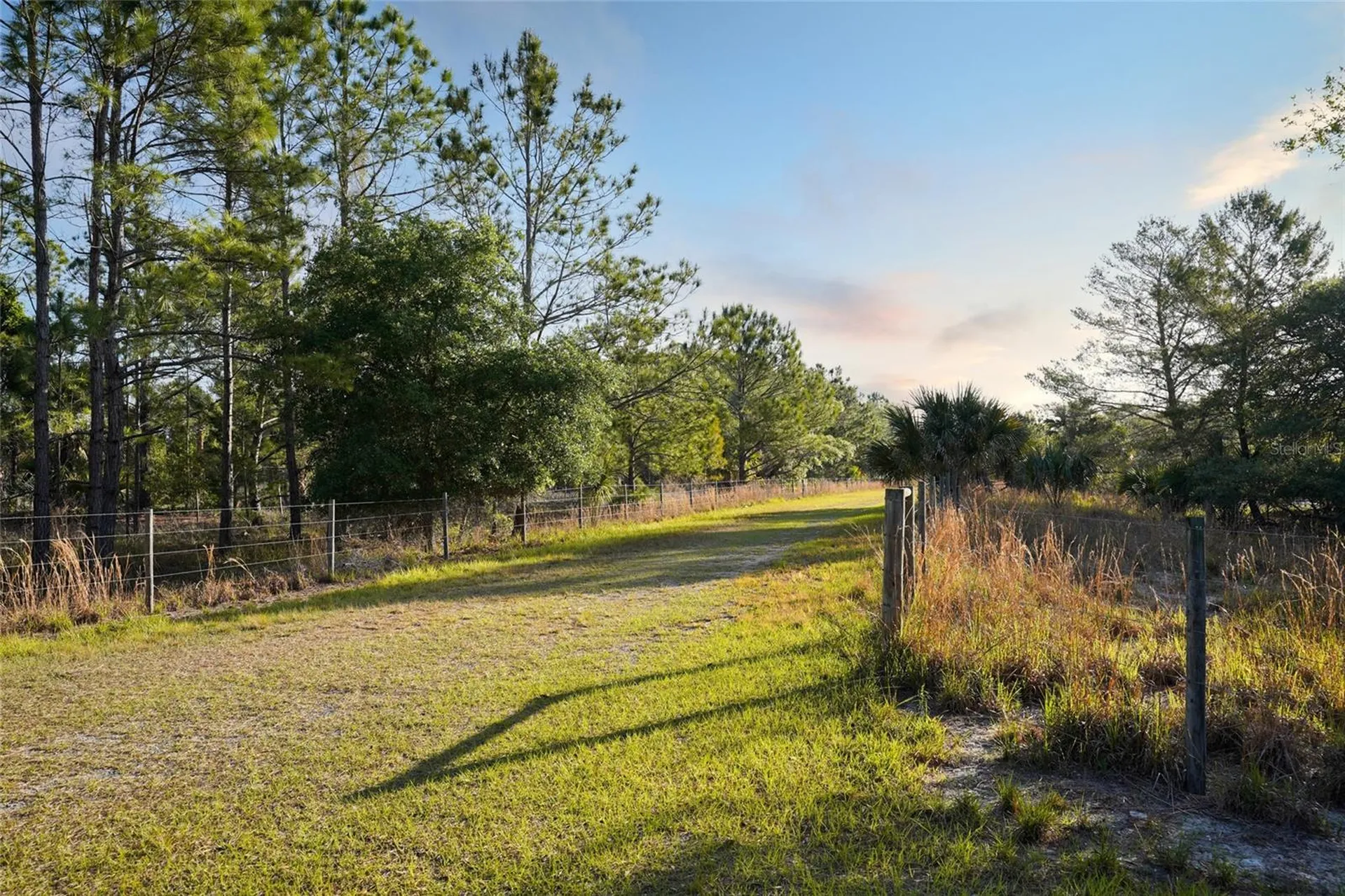 356 Drayton Island Road Georgetown FL 32139