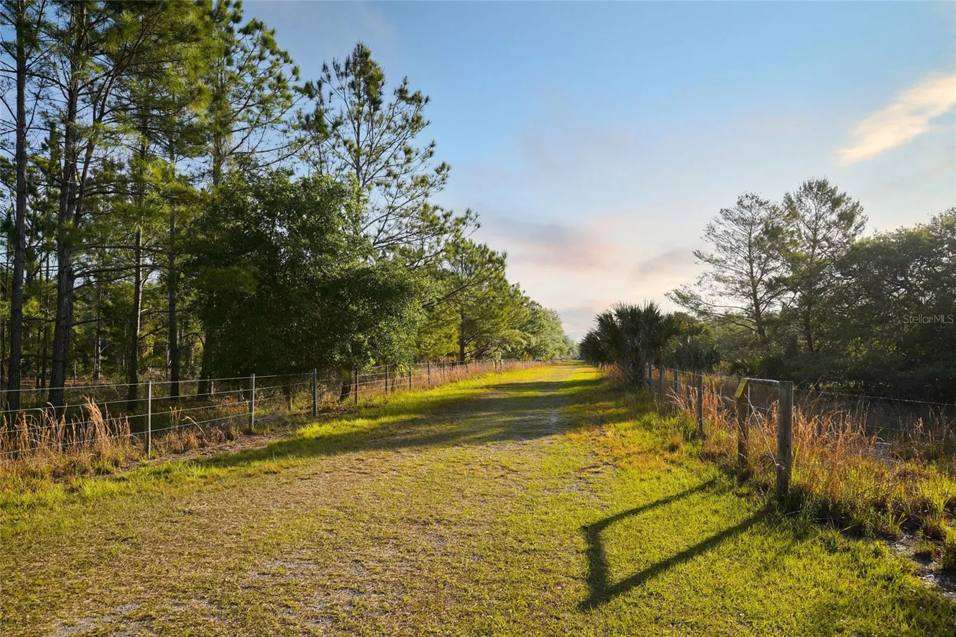 356 Drayton Island Road Georgetown FL 32139