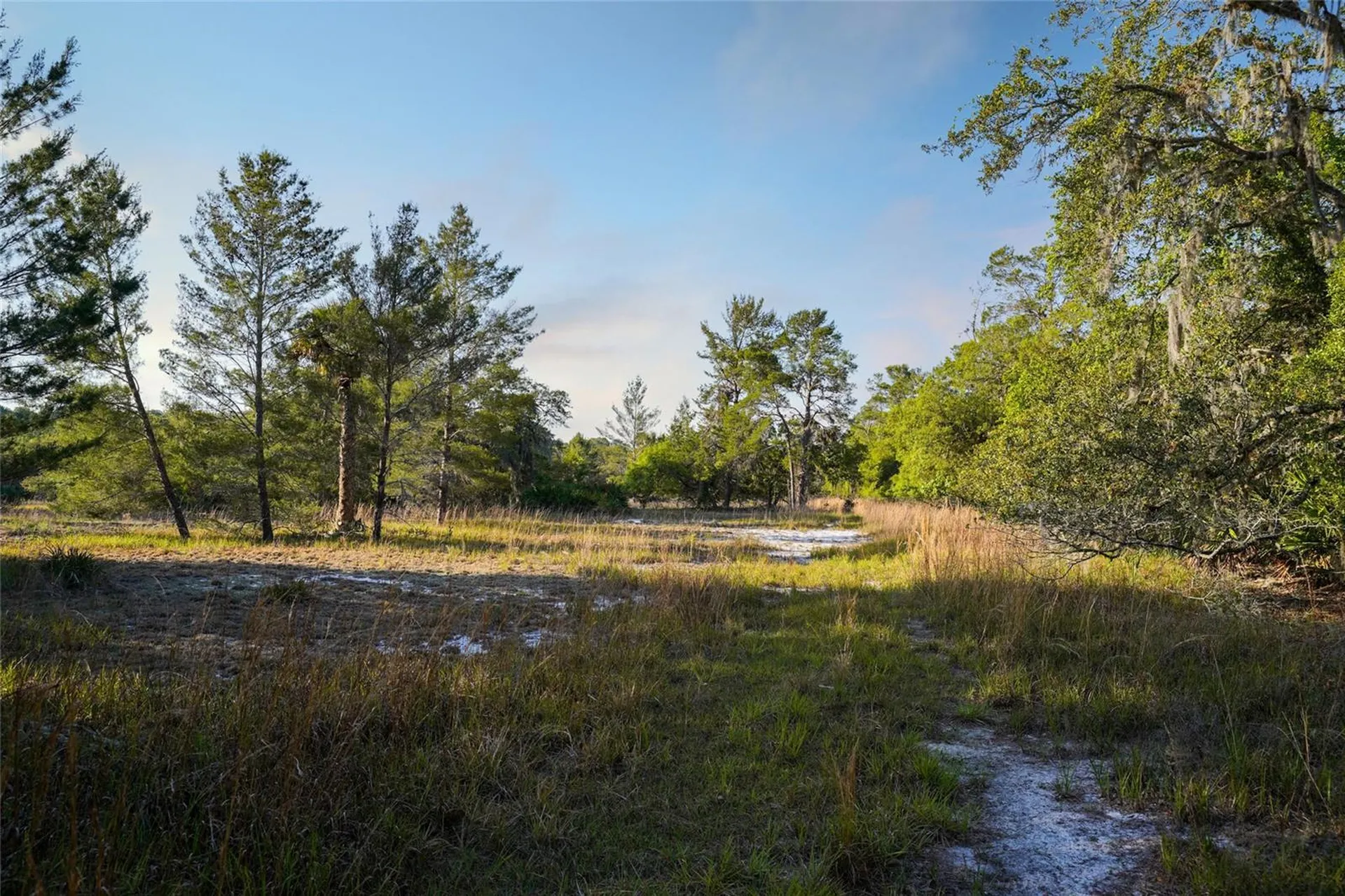 356 Drayton Island Road Georgetown FL 32139